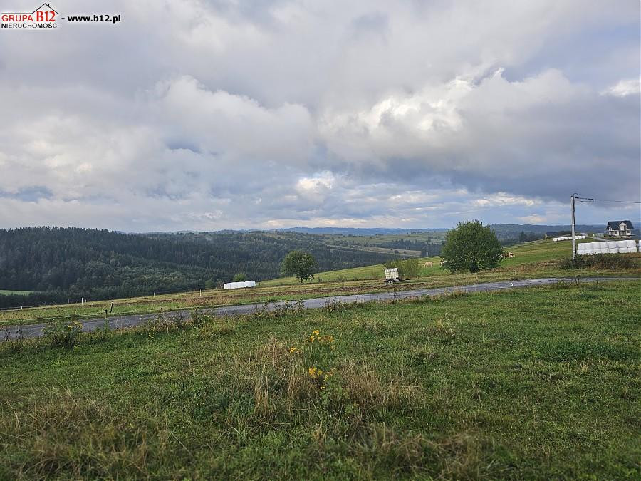 gratka-49460 - Widok 5