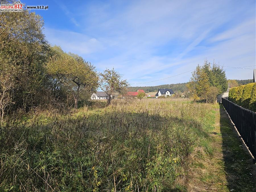 gratka-49475 - Widok 4
