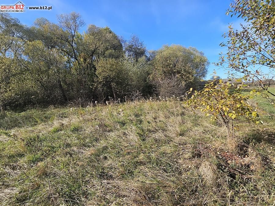 gratka-49475 - Widok 3