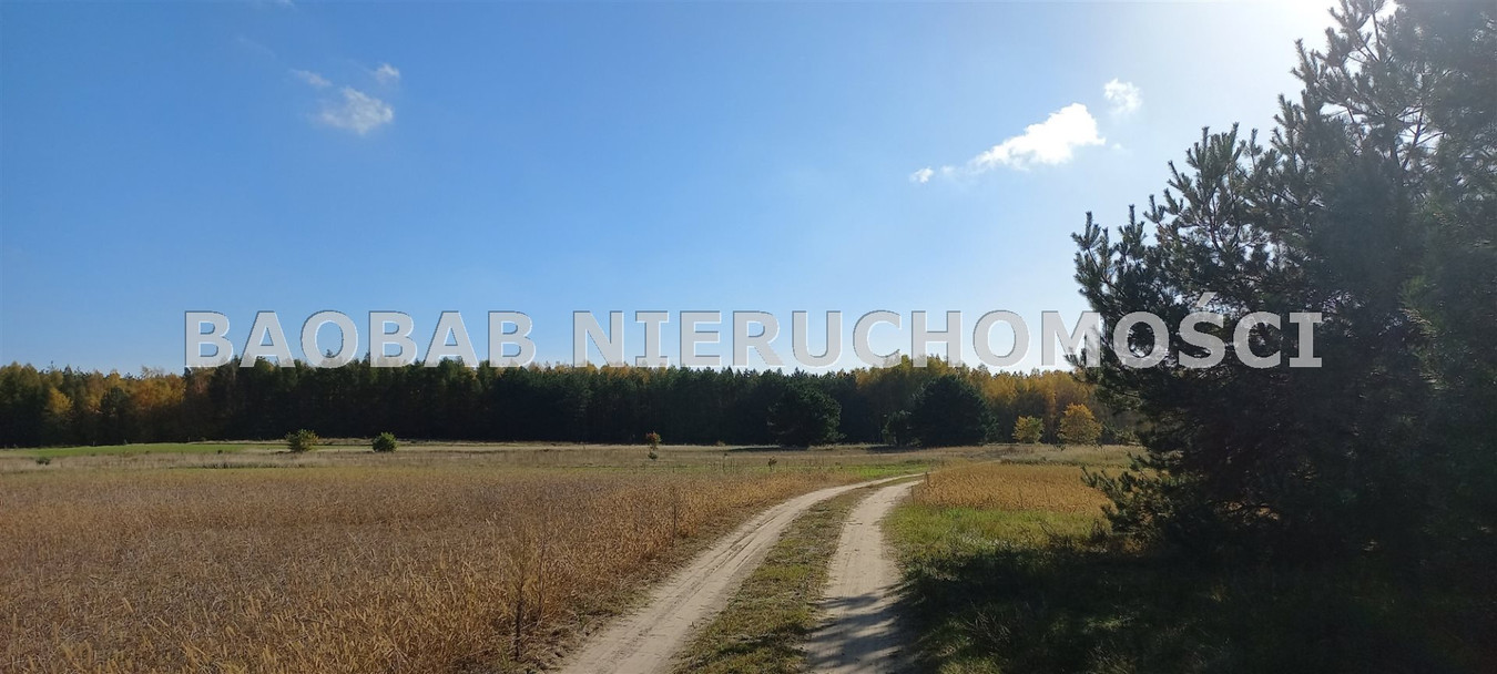 Piękna działka 1,3 ha na końcu wsi Sródborze (WZ) - Widok 2