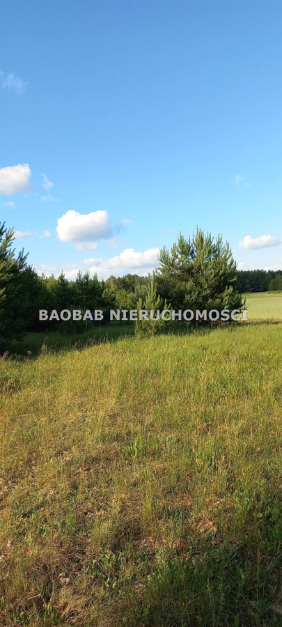 Piękna działka 1,3 ha na końcu wsi Sródborze (WZ) - Więcej