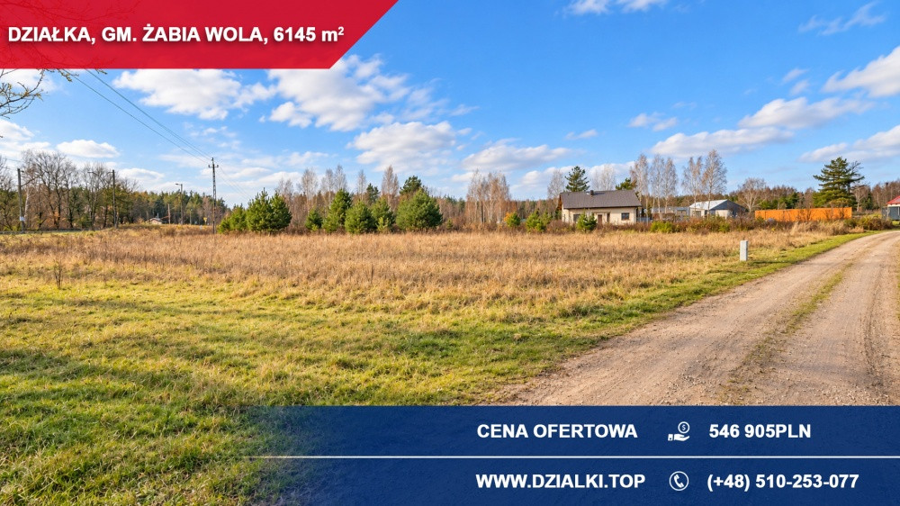 Działka inwestycyjna 6145 m² | magazyn / usługi / zbiorowe zamieszkanie | MPZP - Widok 5