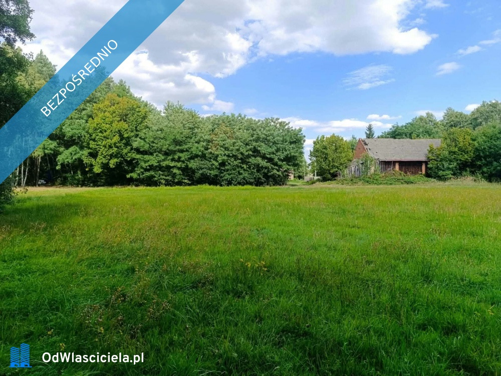 Siedlisko 3,57 ha z zabudowaniami i własnym lasem – Siedlików k. Ostrzeszowa - Widok 3