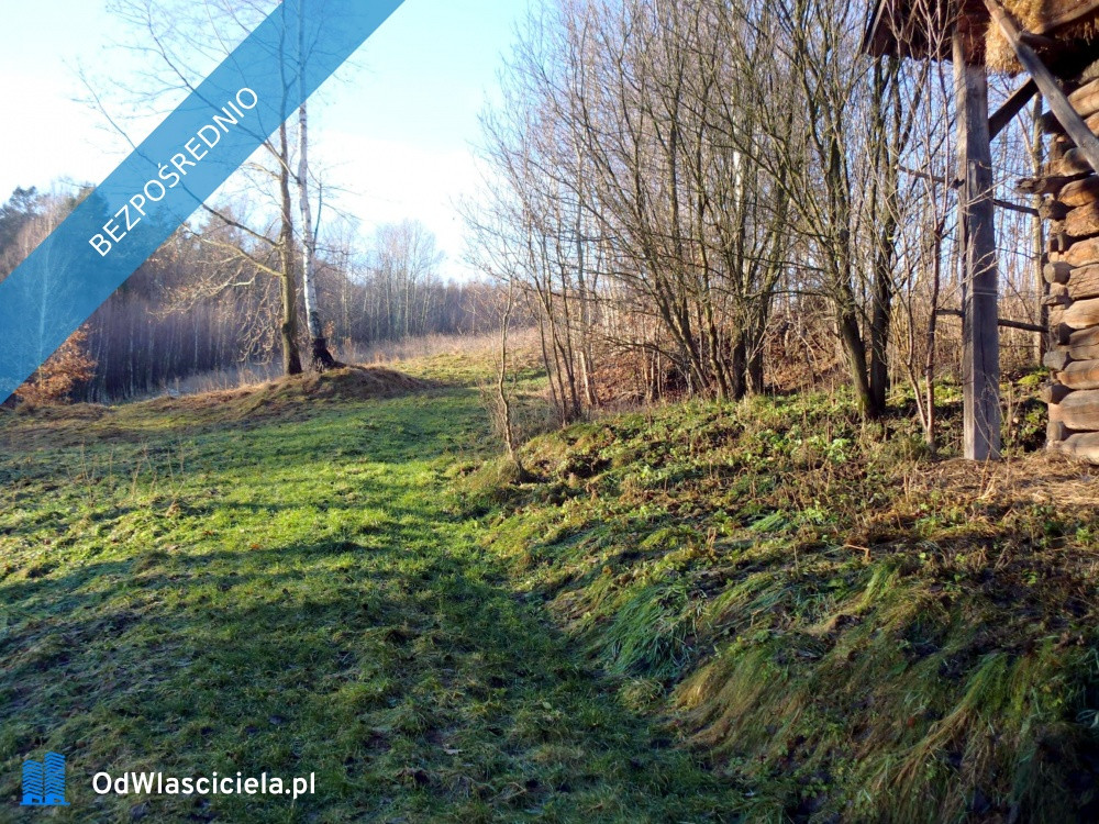 Dom – Dynów, Laskówka - Widok 4