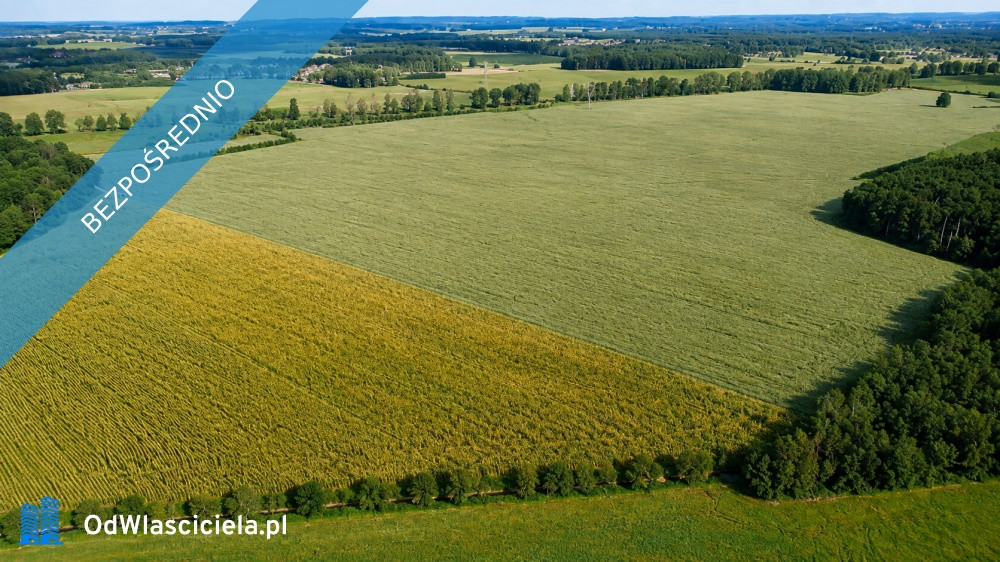 Na sprzedaż kompleks gruntów rolnych - Widok 5