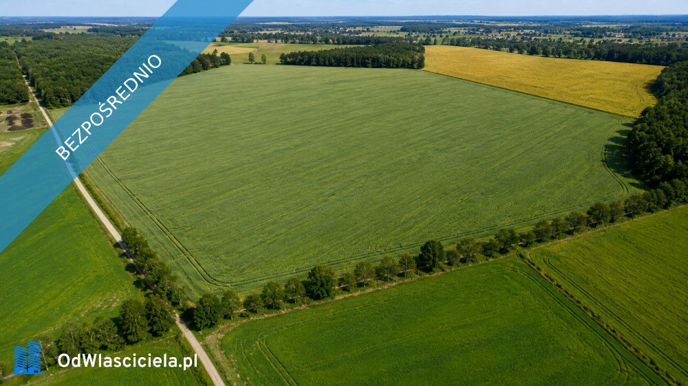 Na sprzedaż kompleks gruntów rolnych - Widok 4