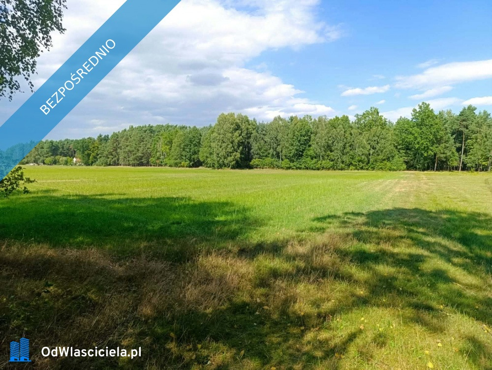 Siedlisko 3,57 ha z zabudowaniami i własnym lasem – Siedlików k. Ostrzeszowa - Widok 2