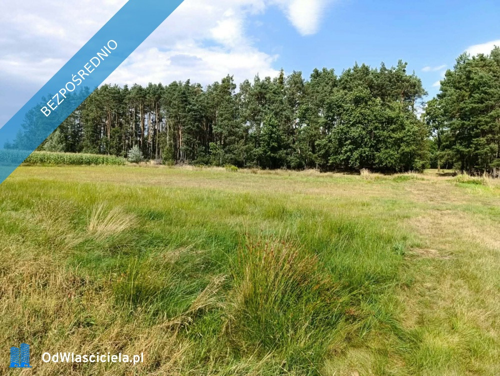Siedlisko 3,57 ha z zabudowaniami i własnym lasem – Siedlików k. Ostrzeszowa - Widok 4