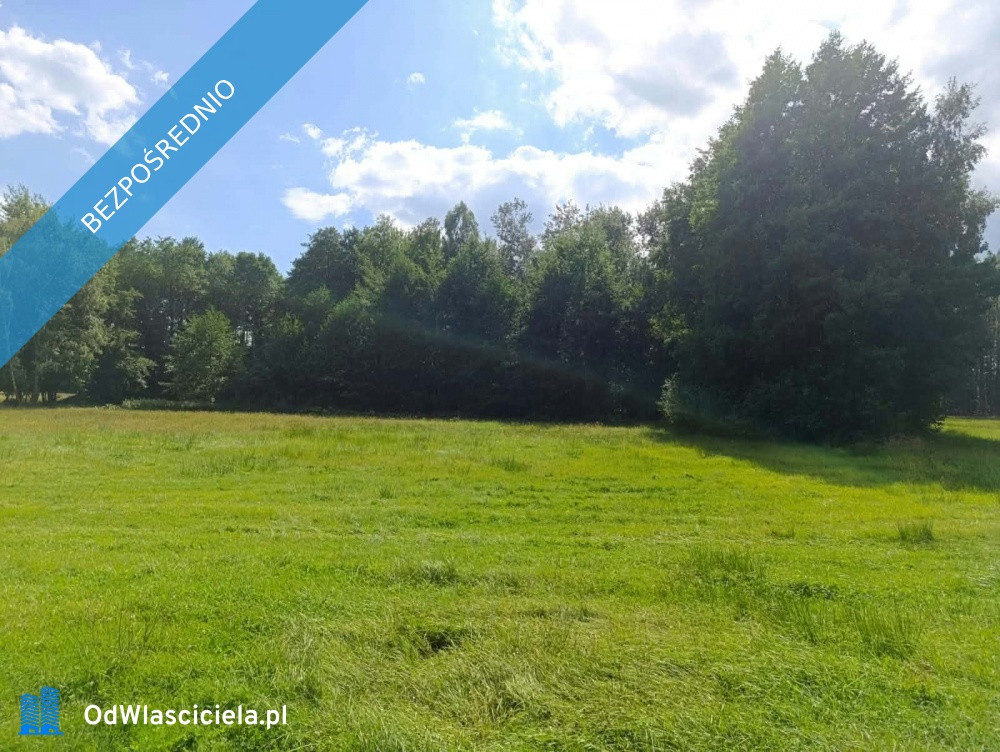 Siedlisko 3,57 ha z zabudowaniami i własnym lasem – Siedlików k. Ostrzeszowa - Widok 5
