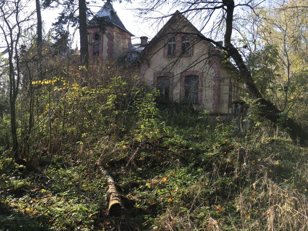 Dom – Wola Krzysztoporska - Więcej