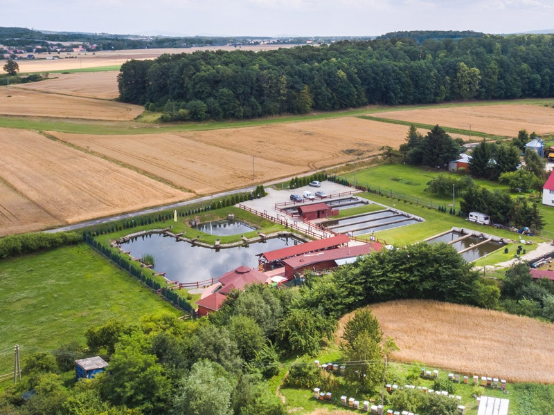 Łowisko i smażalnia &bdquo;Pan Pstrąg&rdquo; na sprzedaż - Widok 4