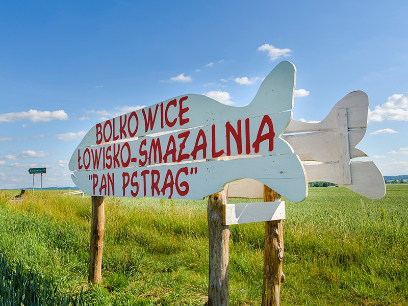 Łowisko i smażalnia &bdquo;Pan Pstrąg&rdquo; na sprzedaż - Widok 5