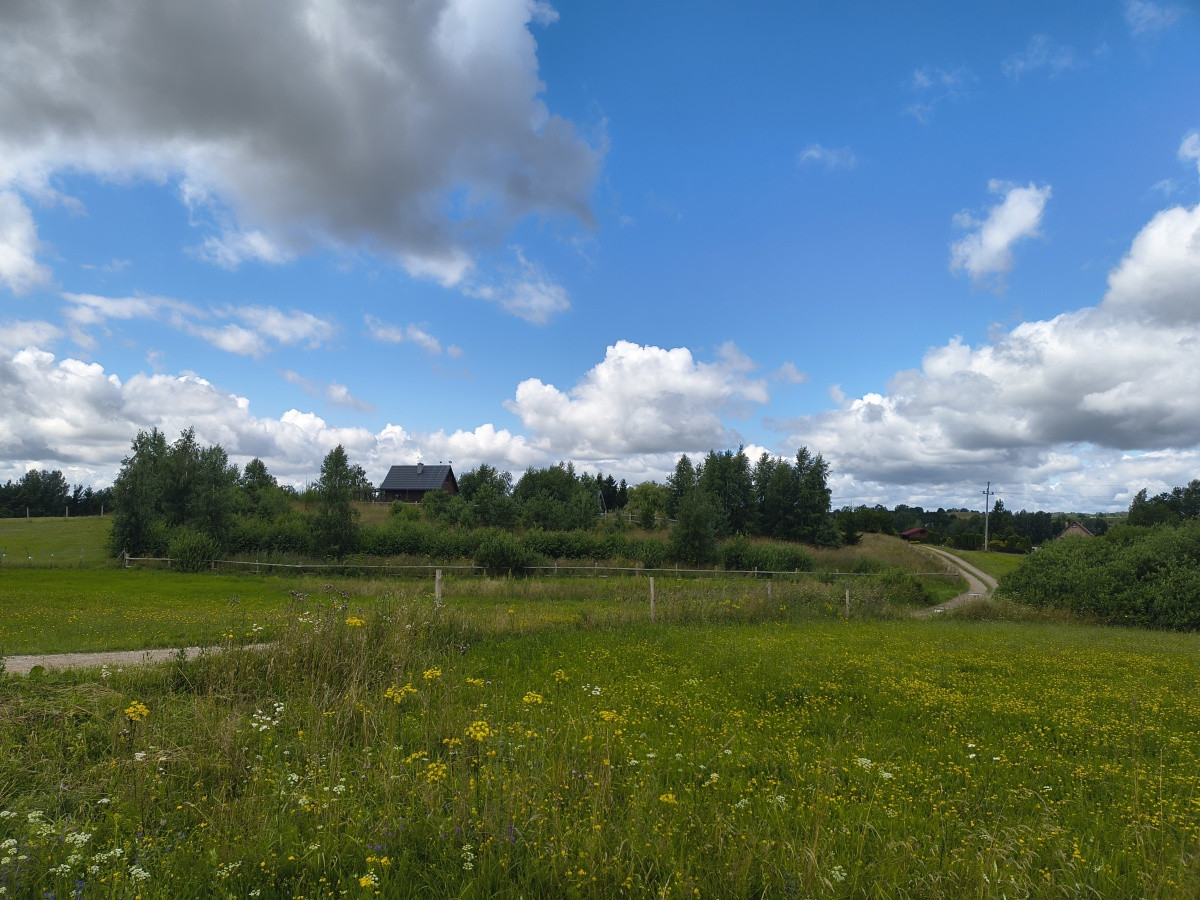 Działka nad Szelmentem - Widok 5