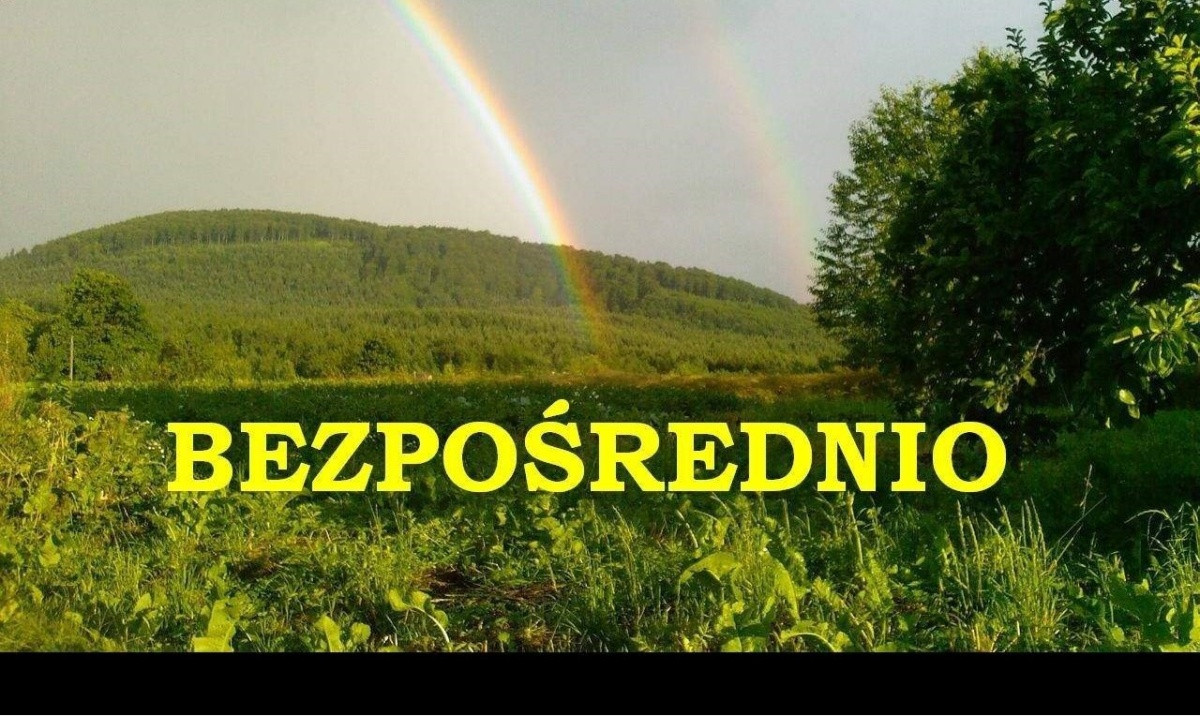 Słoneczna wszystkomająca dz. Myślenice Trzemeśnia - Widok 2