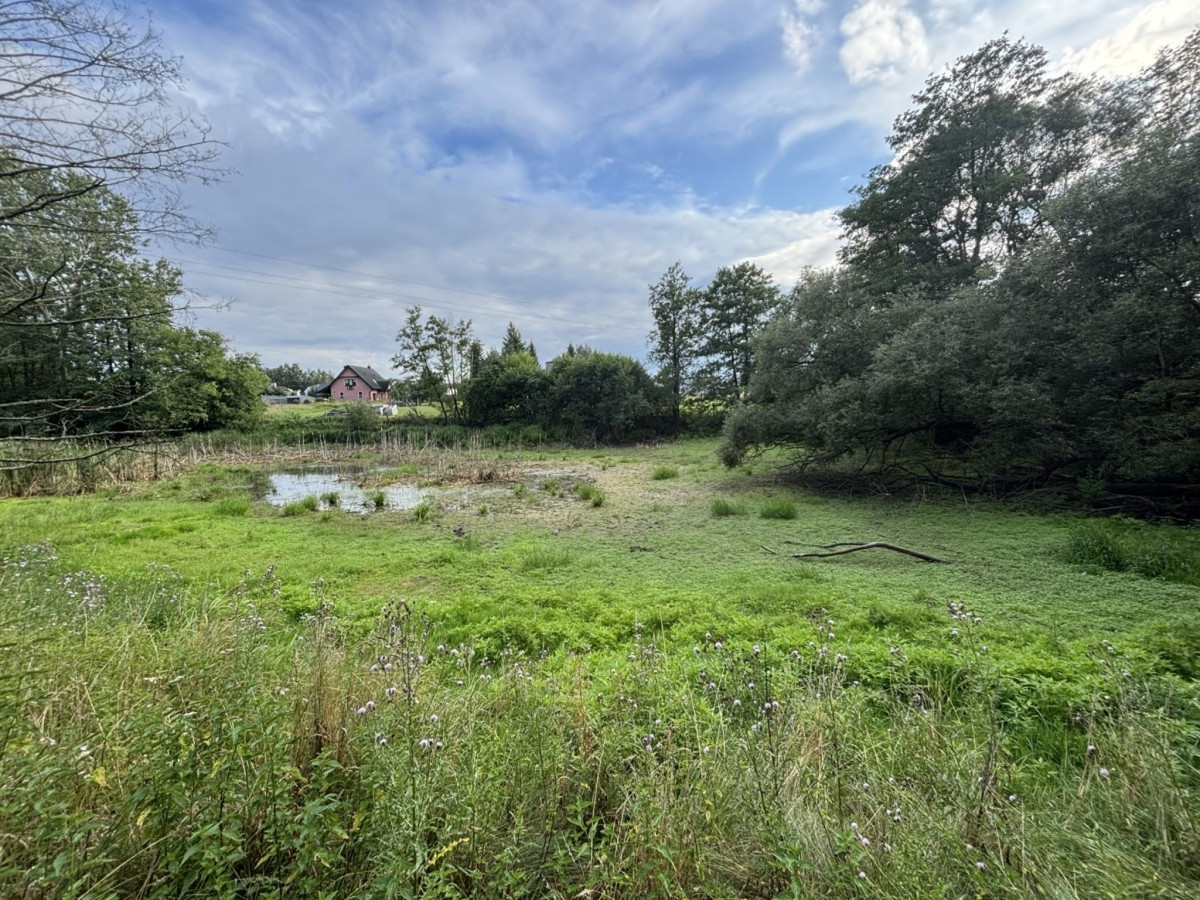 Duża działka 3103 m² z domem - Mszczonów, blisko S8 - Więcej
