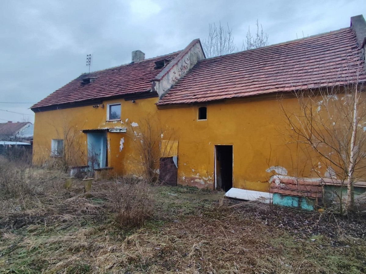 Dom – Grodków - Widok 5