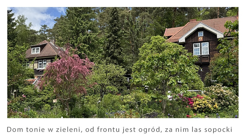 Dom – Sopot, Przylesie - Widok 2