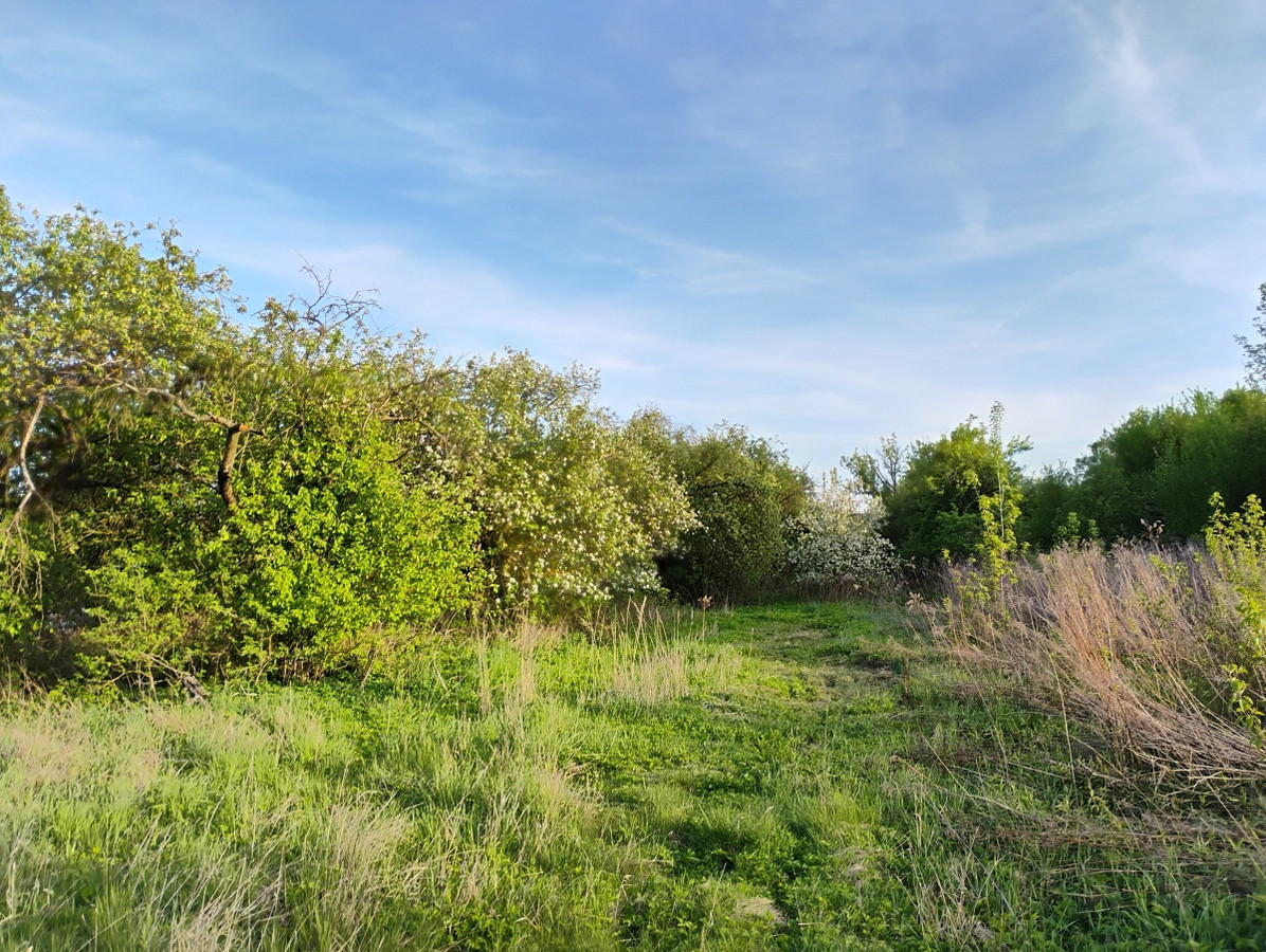 Dom – Ożarów - Widok 5