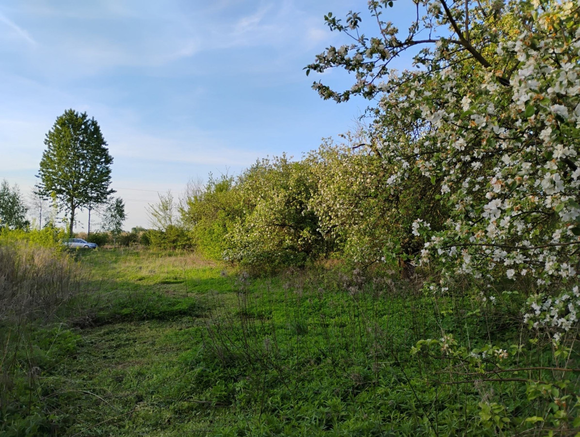 Dom – Ożarów - Więcej