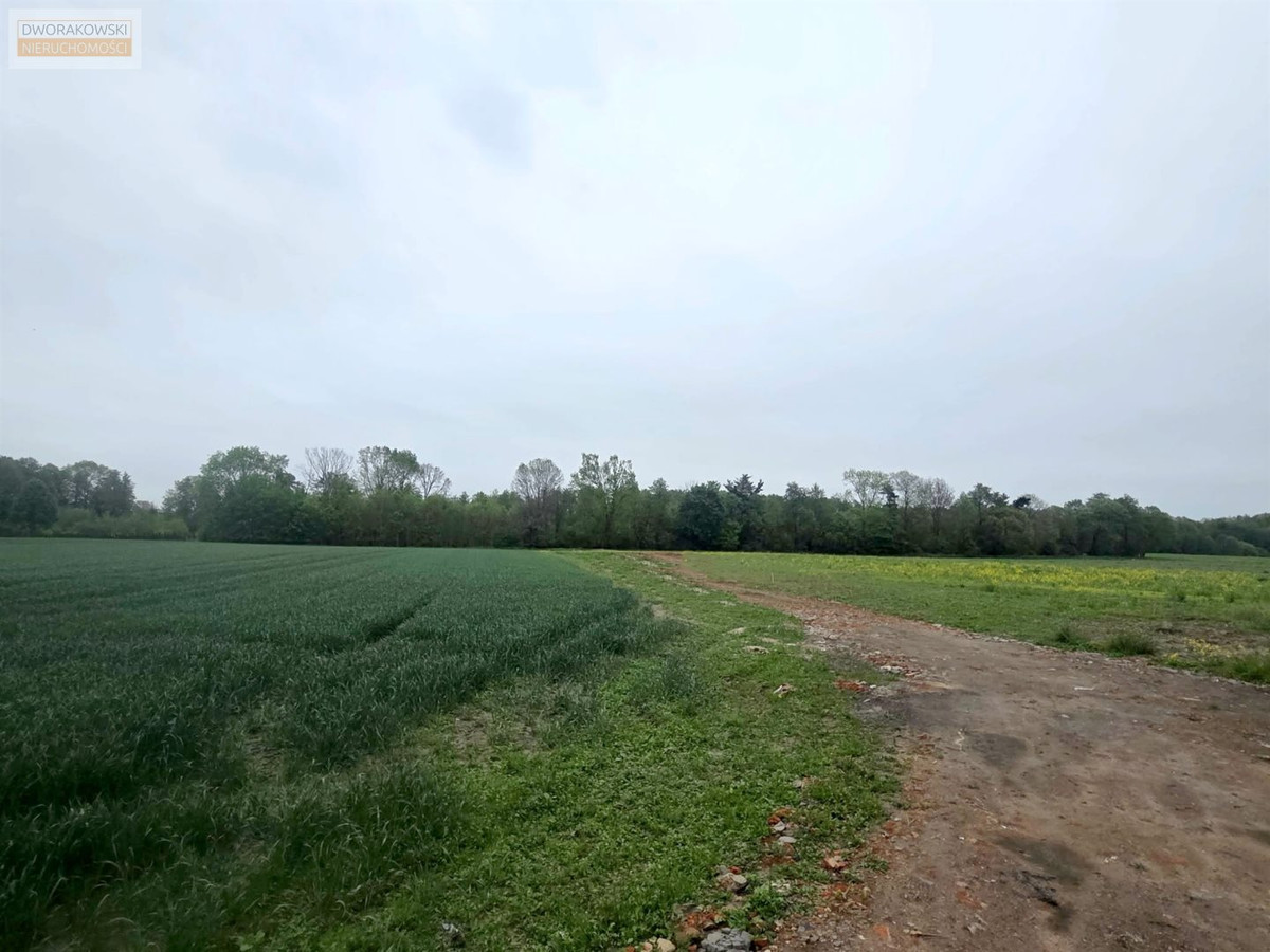 Działki Budowlane| Wyszogród - Widok 2