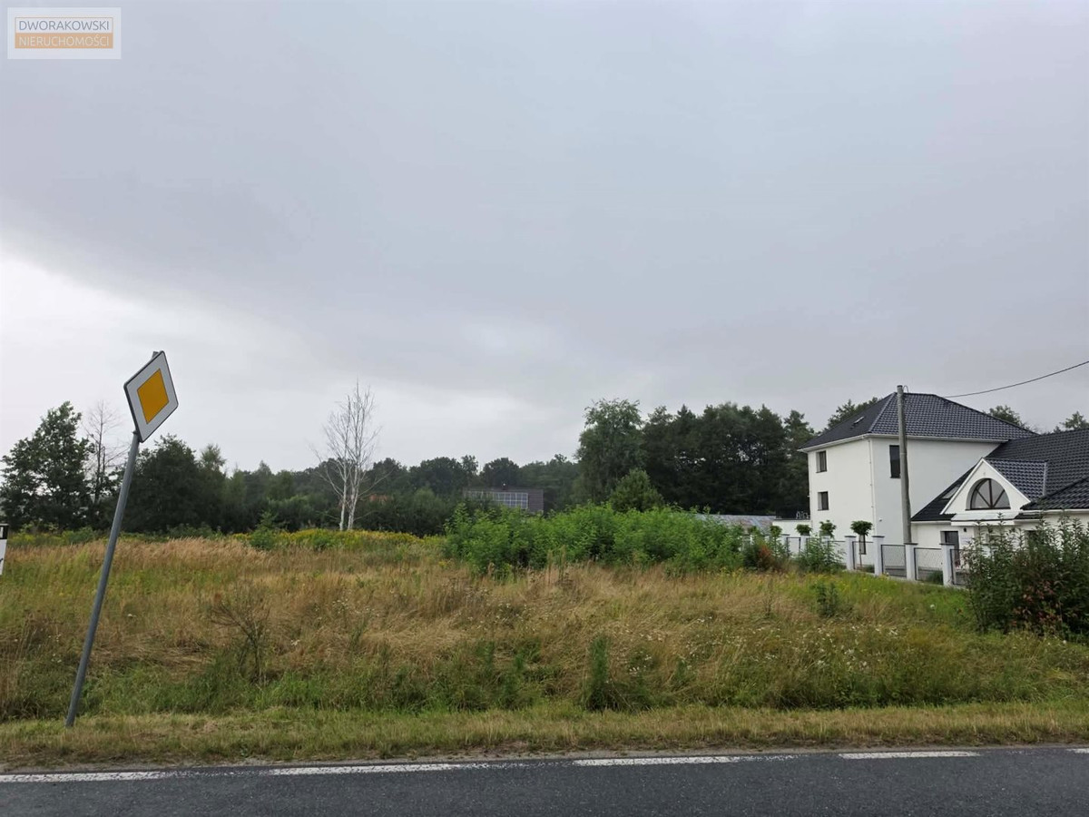 Działka budowlana 3000 m² | Oleśniczka |Długołęka - Widok 3