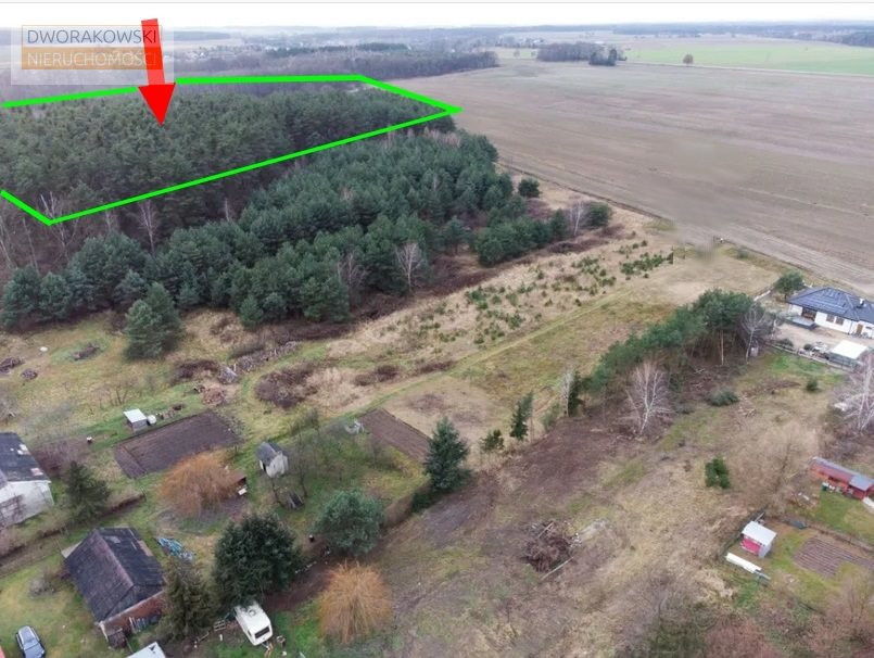 Działka budowlana z lasem dla inwestora - Widok 3