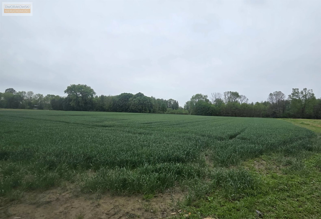 Działki Budowlane| Wyszogród - Widok 6