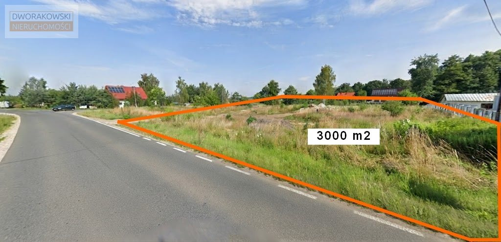 Działka budowlana 3000 m² | Oleśniczka |Długołęka - Widok 2
