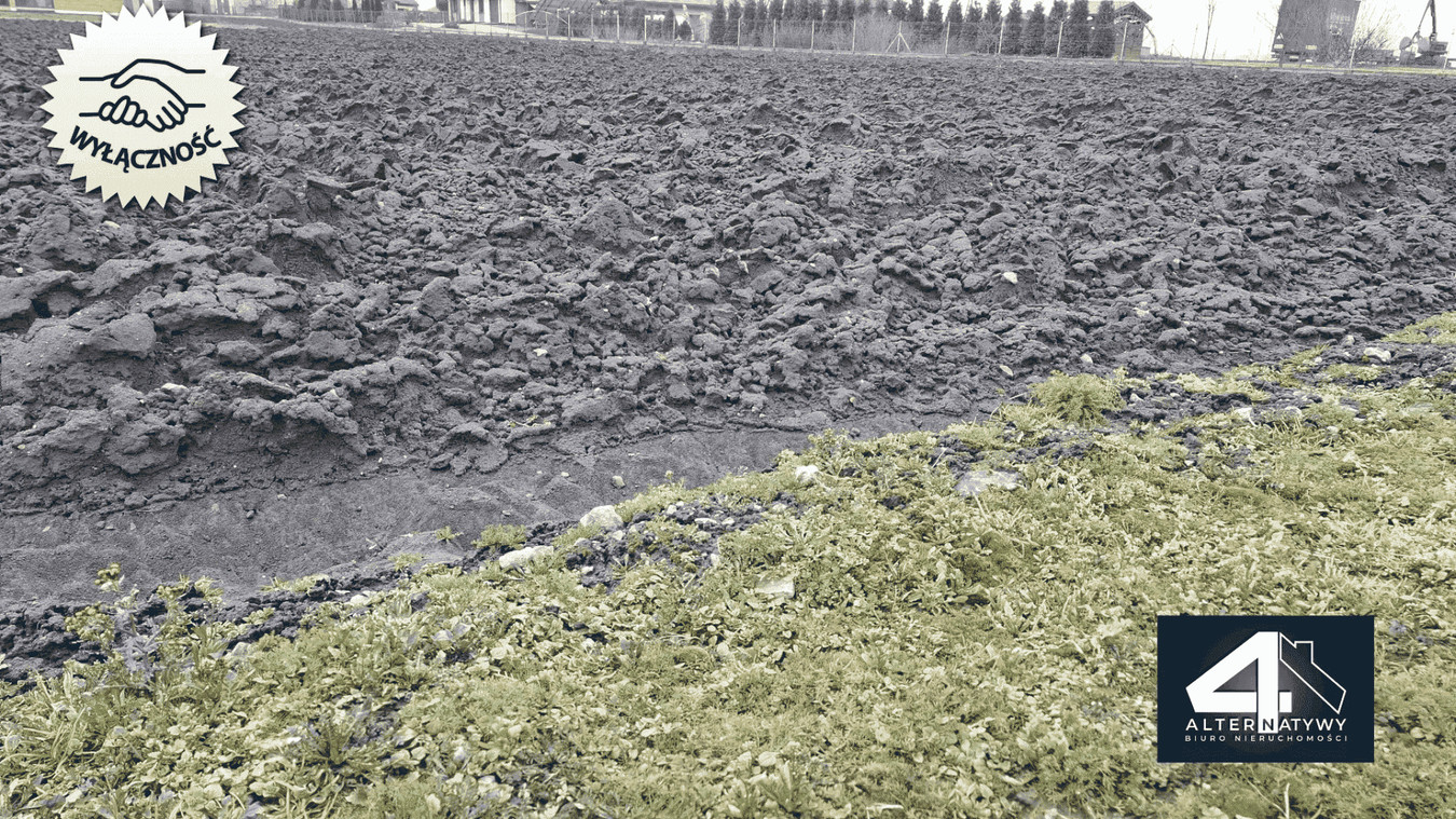 Działka budowlana z mpzp 8,92 a Pobiednik - Widok 3