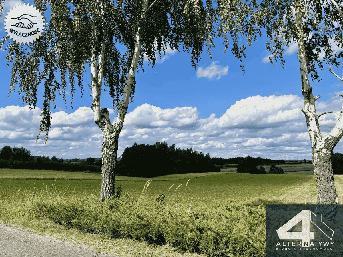 Widokowa działka z Wz, pod inwestycje - Widok 4