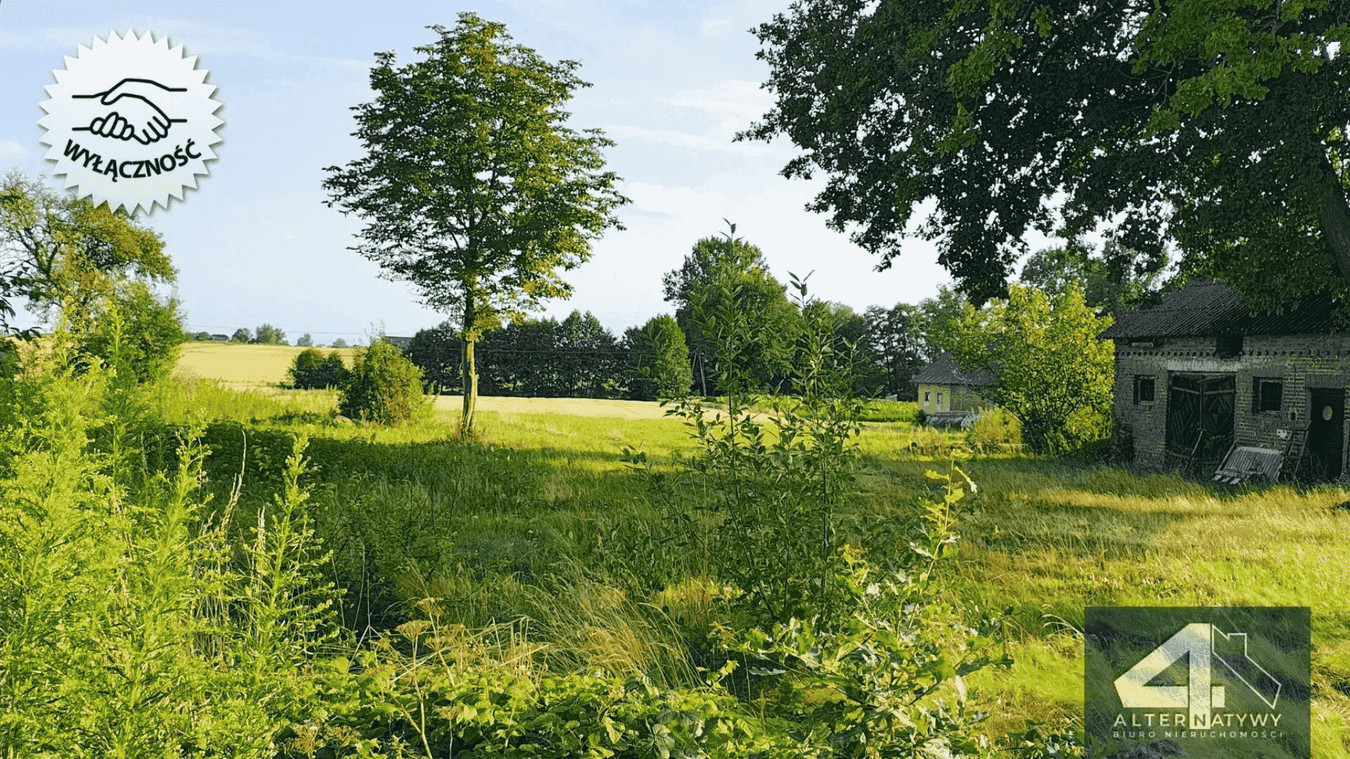 Działka z potencjałem na Twój dom z ogrodem - Widok 3