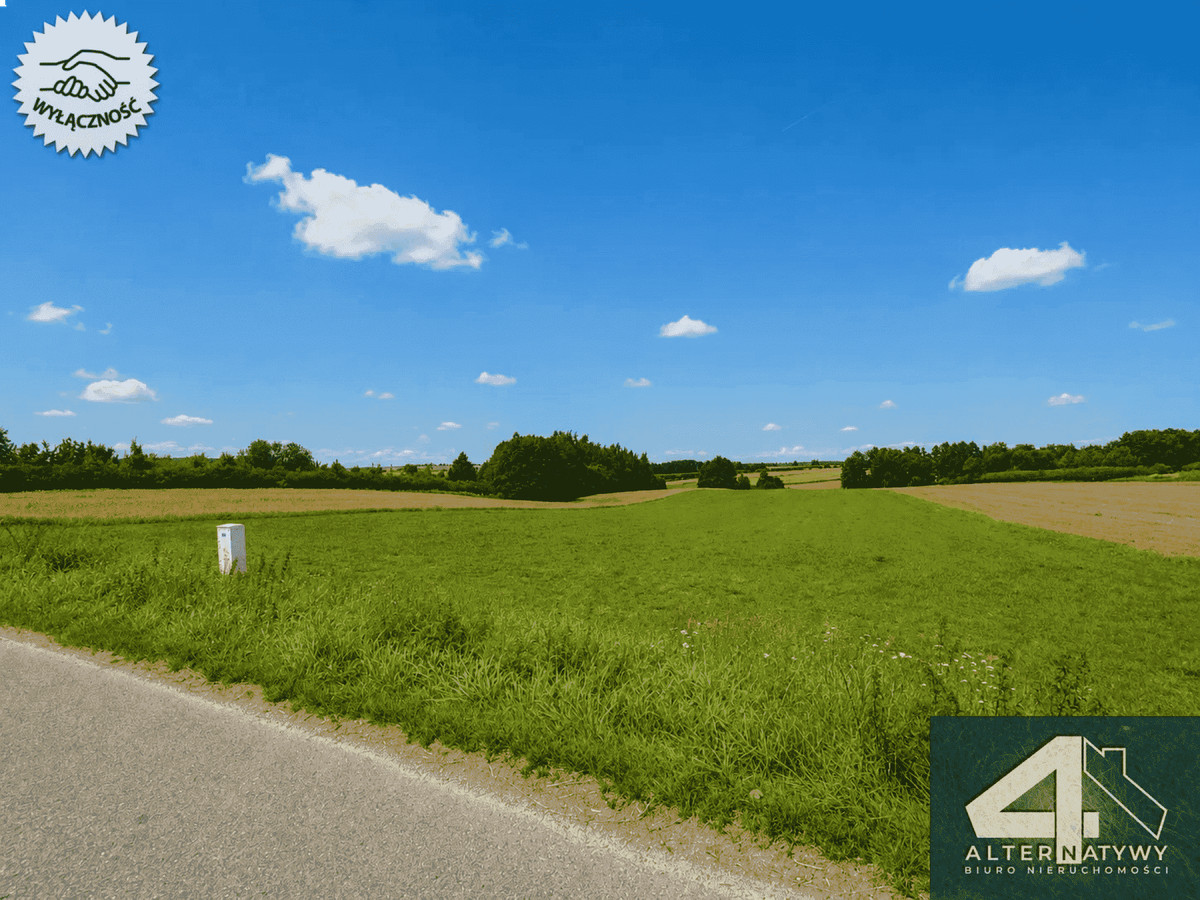 Widokowa działka z Wz, pod inwestycje - Widok 5