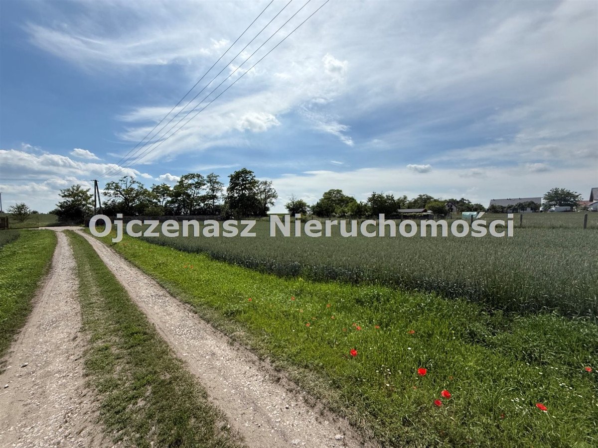 gratka-OJN-GS-125511 - Widok 4