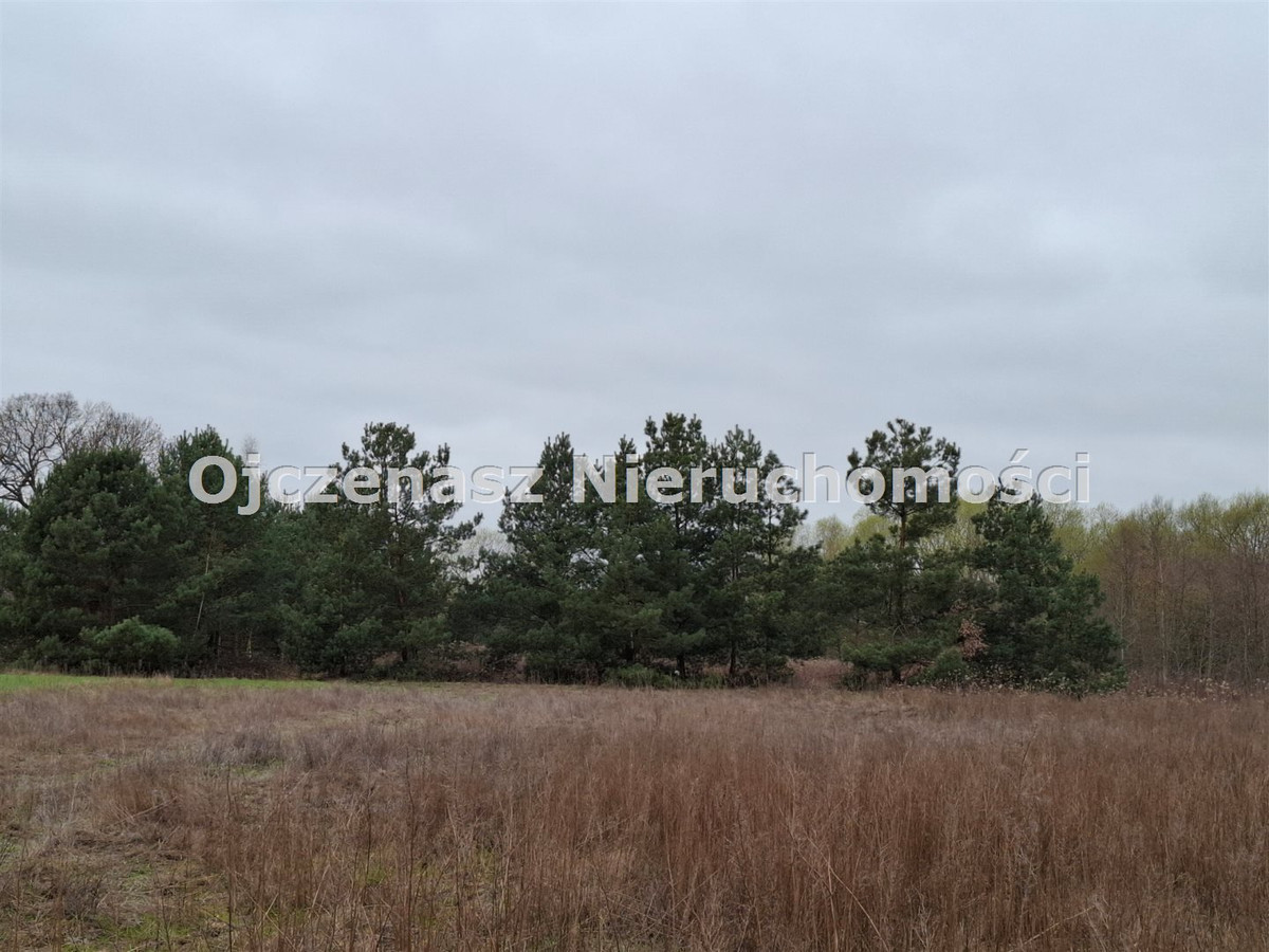 Grund, 15000 m²