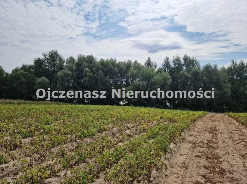 gratka-OJN-GS-125634 - Widok 3