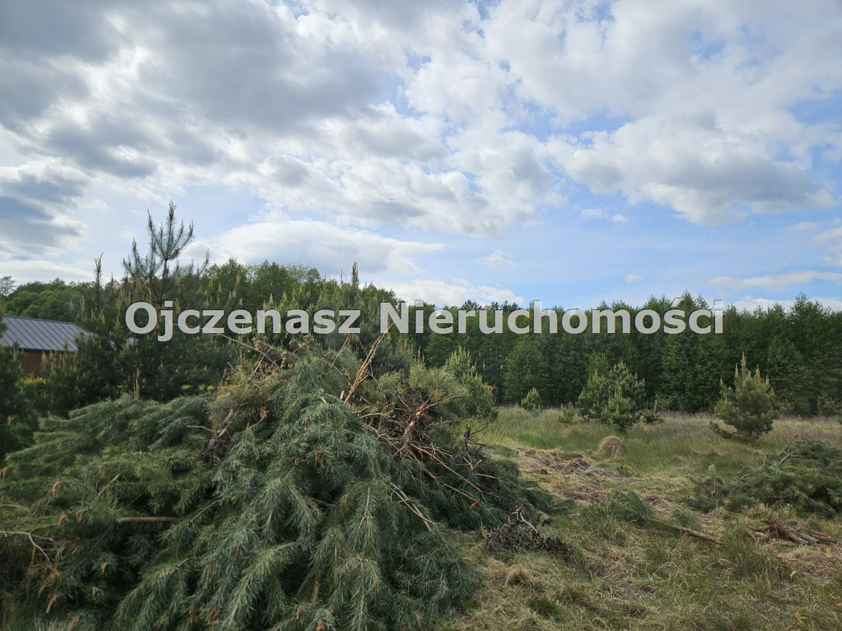 NA SPRZEDAŻ DZIAŁKA WŁADYSŁAWOWO BLISKO JEZIORA - Widok 3