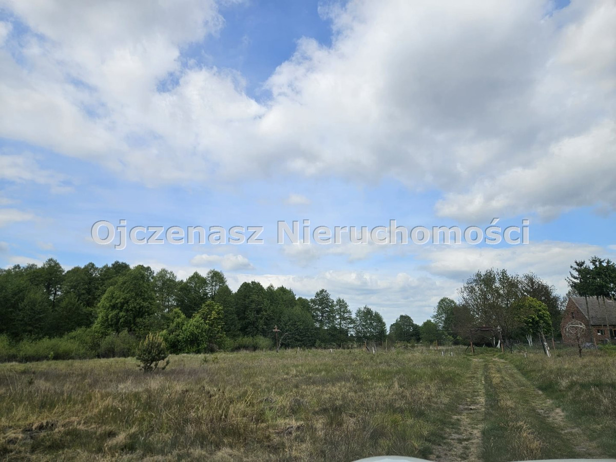 NA SPRZEDAŻ DZIAŁKA WŁADYSŁAWOWO BLISKO JEZIORA - Widok 4