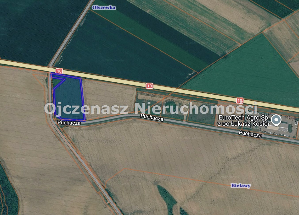 Działka inwestycyjna koło Nakła n/Notecią - Widok 3