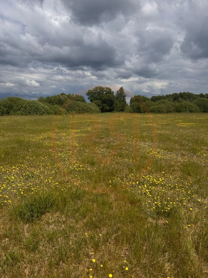 Działka pod zabudowę jednorodzinną | Regiel - Widok 4