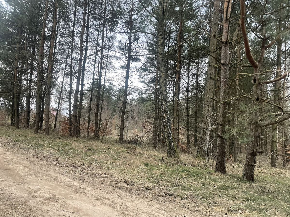 Działka budowlana w Kamieniu 300metrów od jeziora - Widok 4