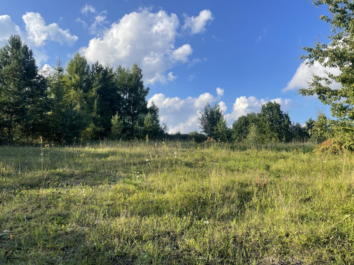 Wyjątkowa działka rekreacyjna - tylko 150 m od jez - Widok 5