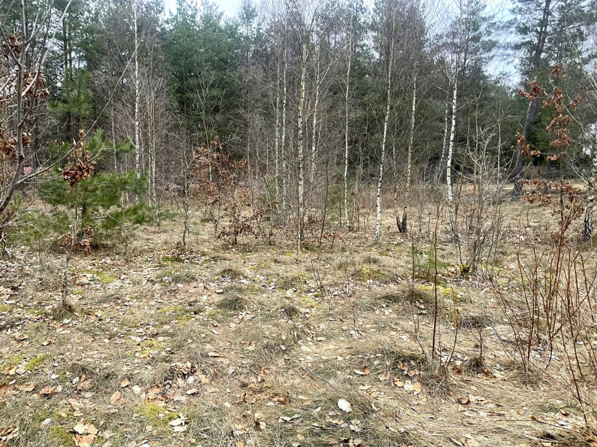 Działka budowlana MPZP, 300 m od jeziora - Widok 5
