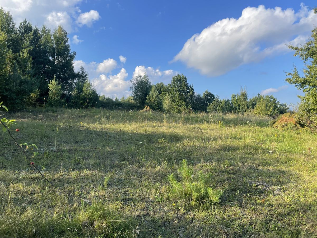 Wyjątkowa działka rekreacyjna - tylko 150 m od jez - Więcej