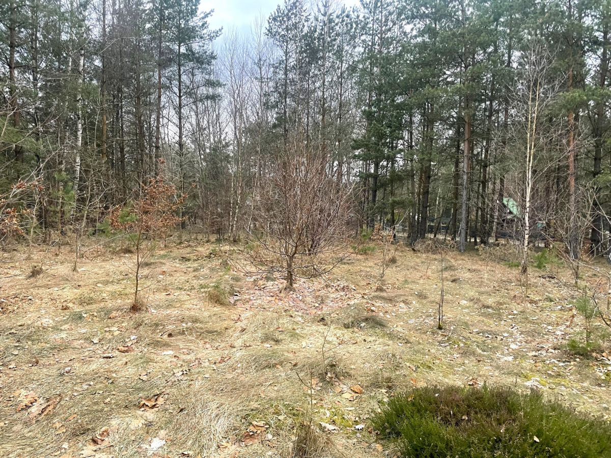 Działka budowlana MPZP, 300 m od jeziora - Widok 3