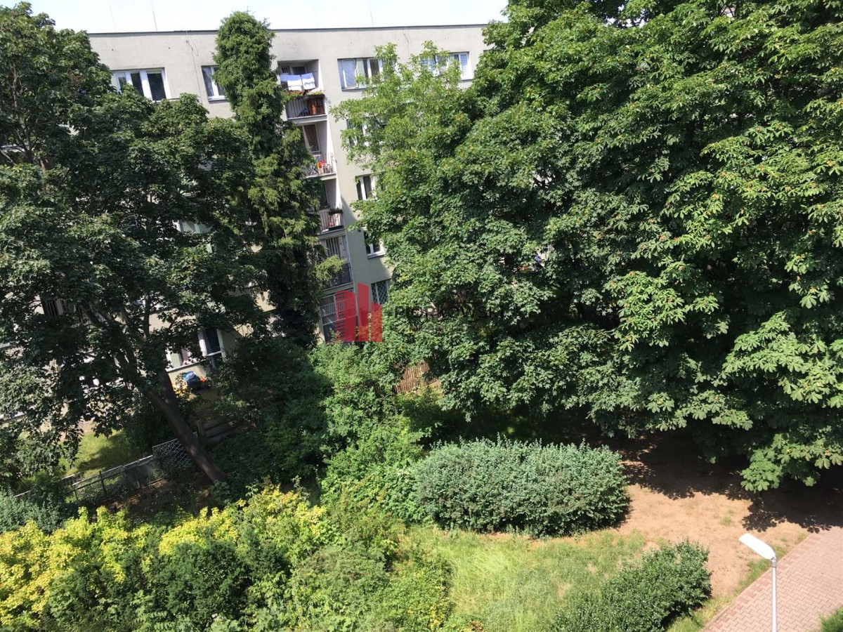3 pokoje z ogromnym potencjałem / SADYBA - Widok 6