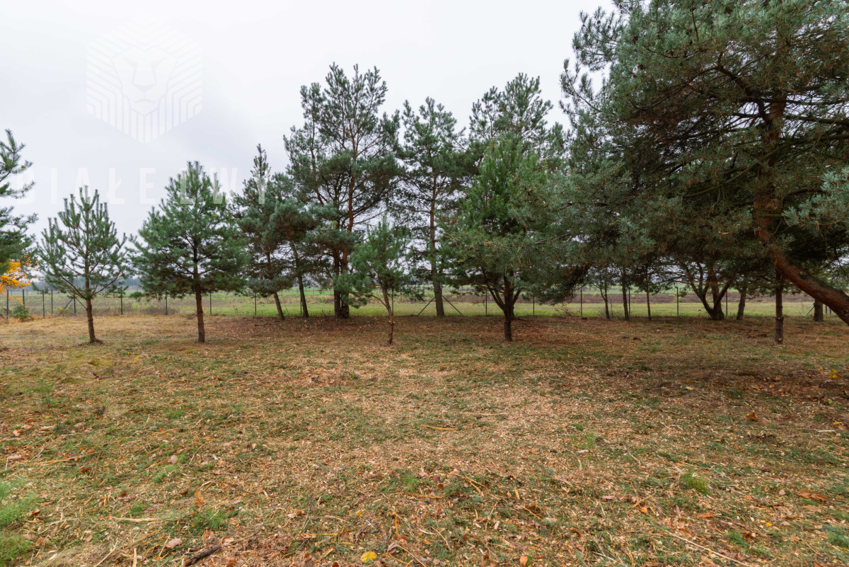 Jachranka - działka pod dom jednorodzinny - Widok 5