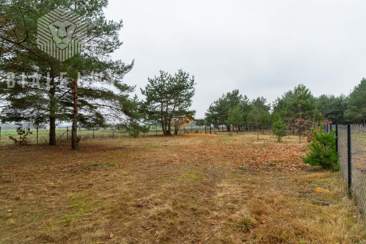 Jachranka - działka pod dom jednorodzinny - Widok 2