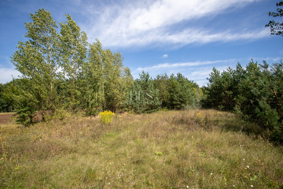 zabudowa jednorodzinna i bliźniacza - Widok 5