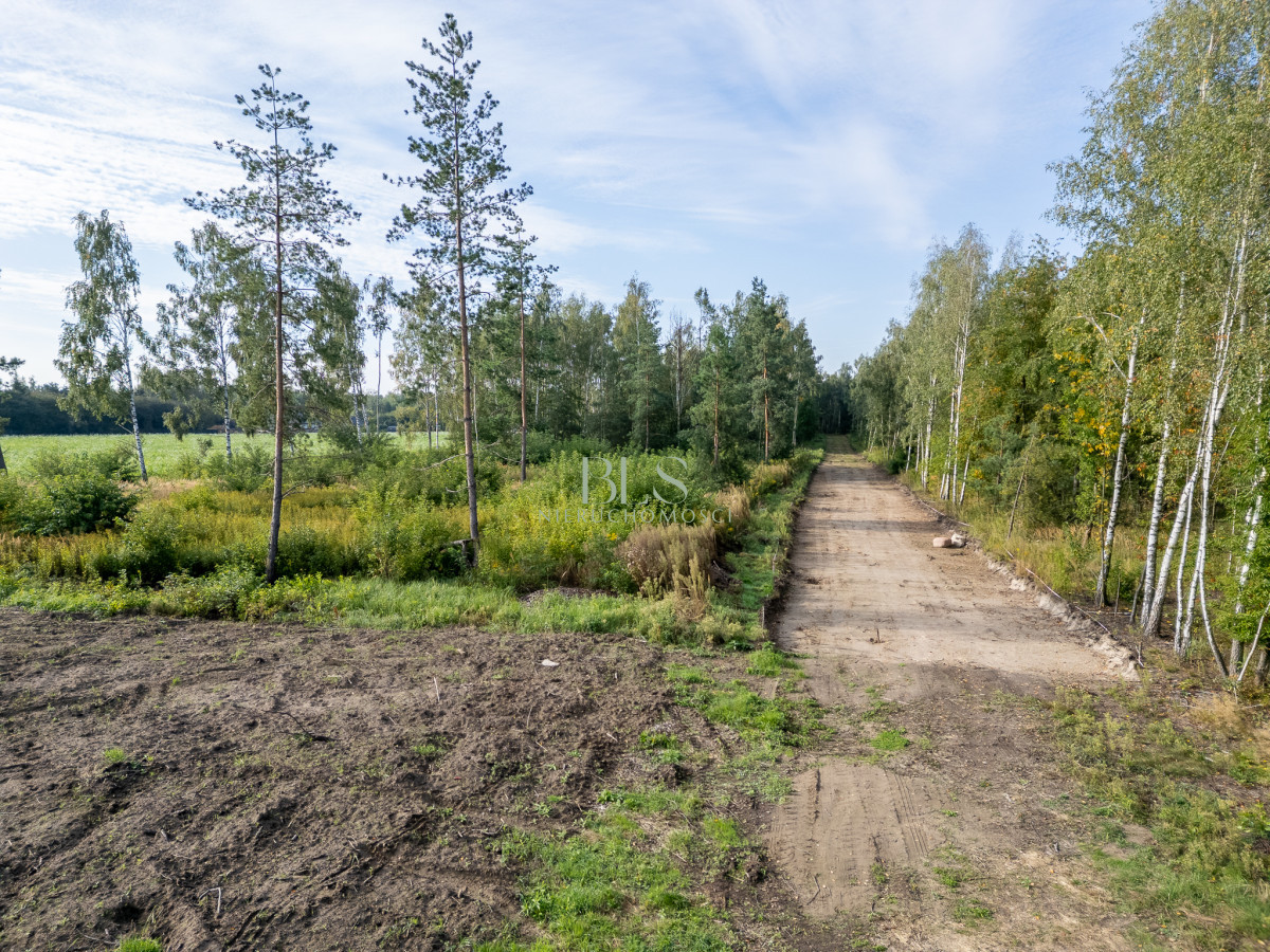 Wyjątkowa działka blisko natury - Widok 5