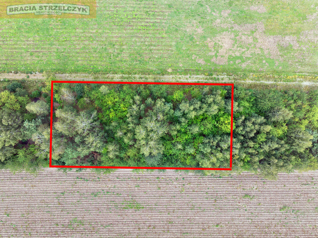Działka 2000 m² pod dom – Walendów - Widok 2